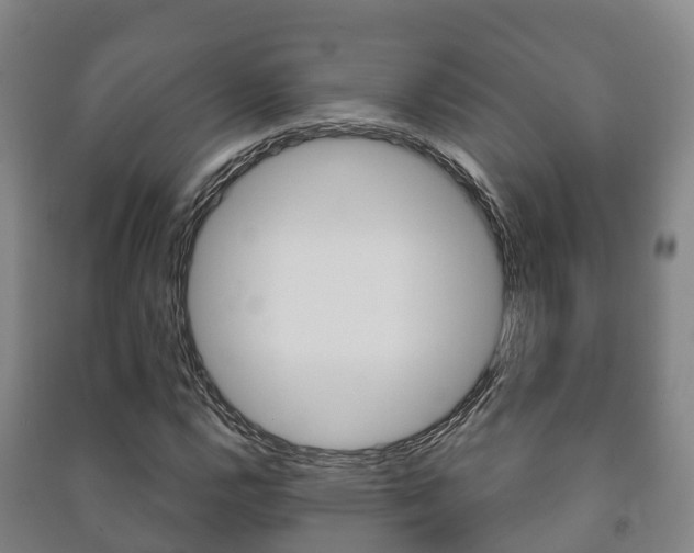 X0000091461112200708161101