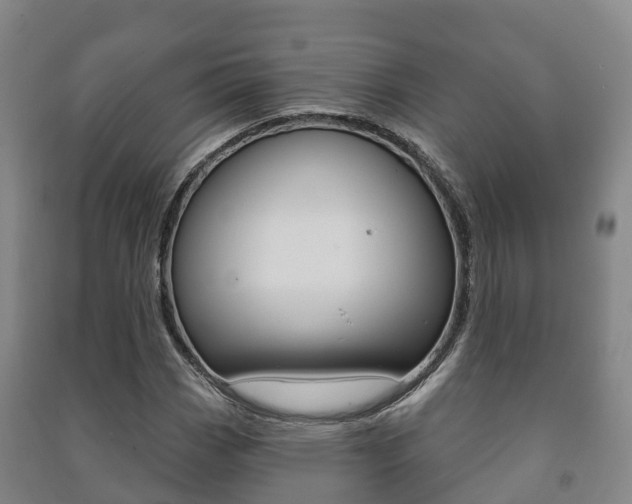 X0000091461113200708161101