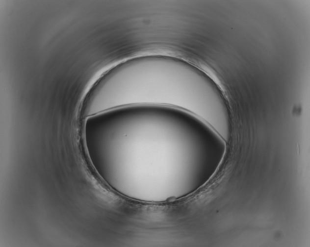 X0000091461116200708161101