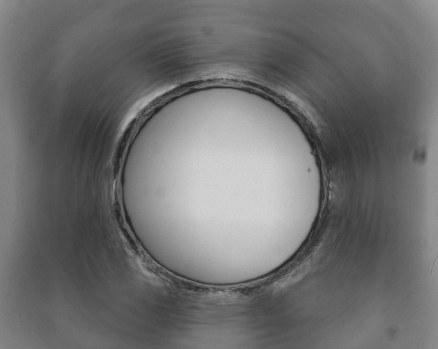 X0000091461117200708161101