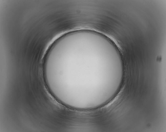 X0000091461118200708161102