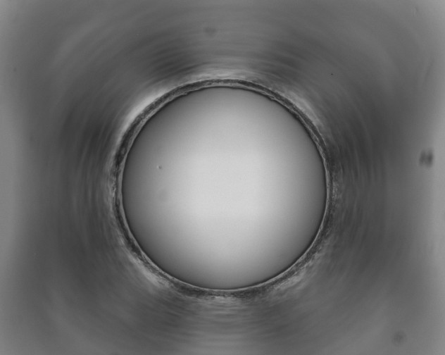 X0000091461119200708161102