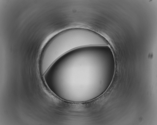 X0000091461120200708161102