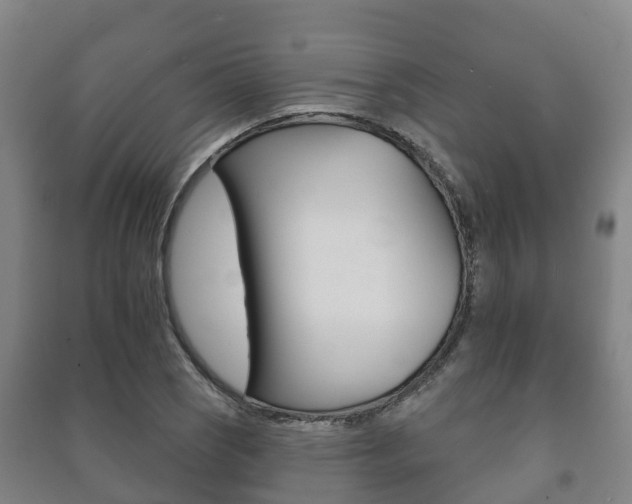 X0000091461121200708161102
