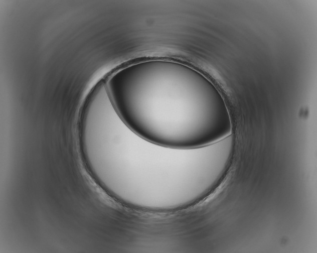 X0000091461122200708161102