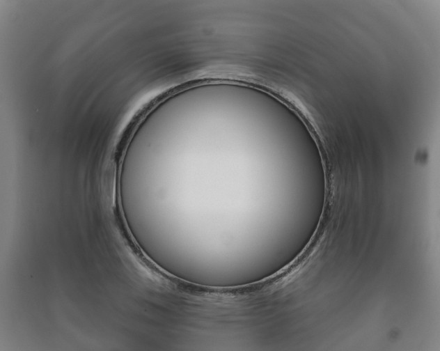 X0000091461123200708161102