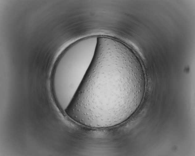 X0000091461125200708161102