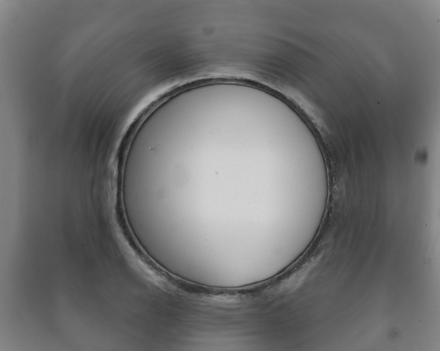X0000091461126200708161102