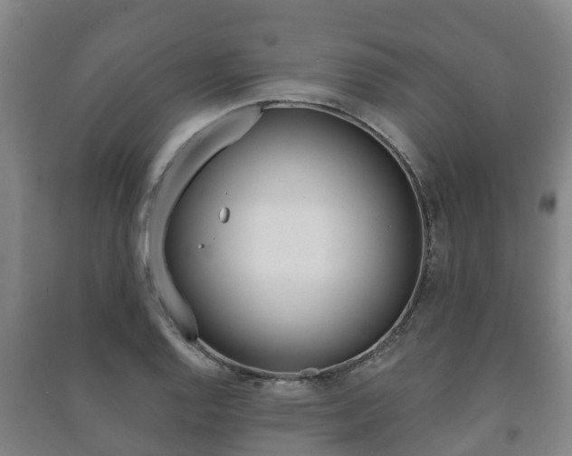 X0000091461128200708161102
