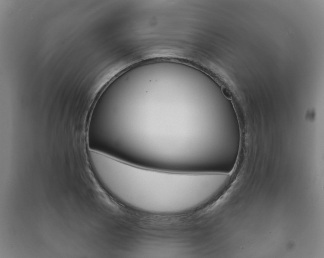 X0000091461129200708161102