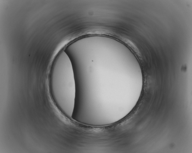 X0000091461130200708161102