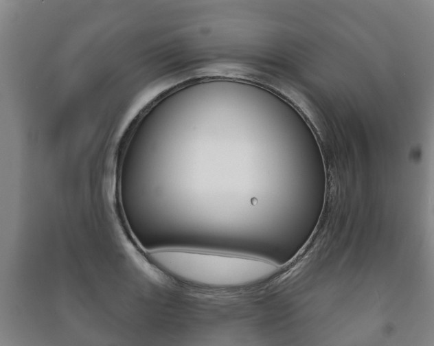 X0000091461131200708161102