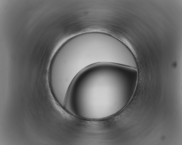 X0000091461132200708161102