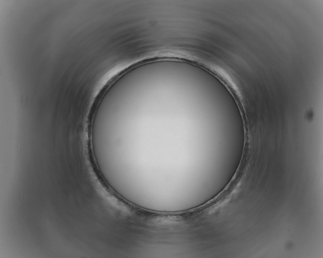 X0000091461133200708161102