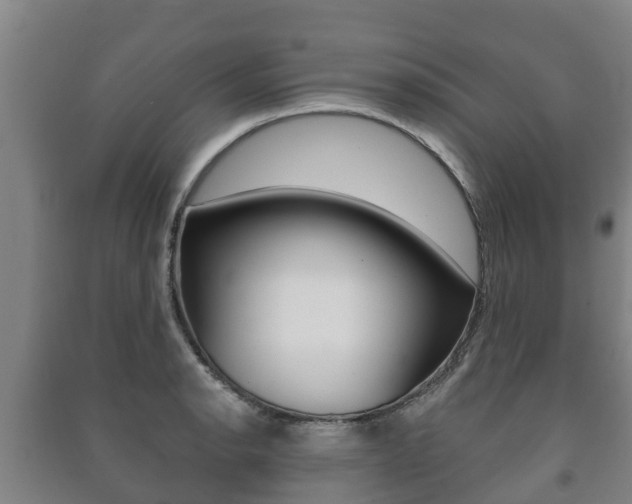 X0000091461134200708161102
