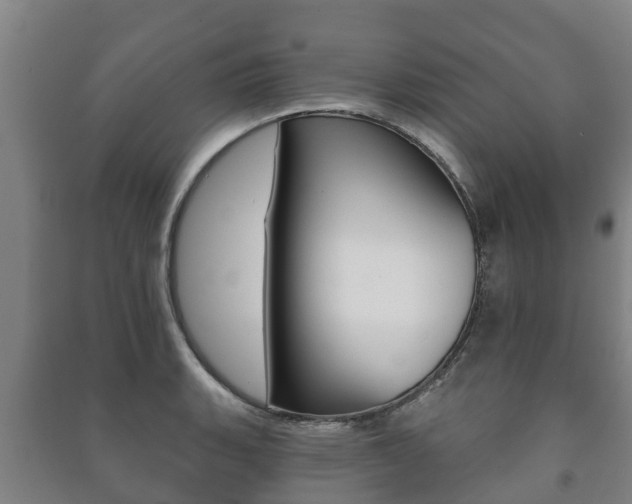 X0000091461135200708161102