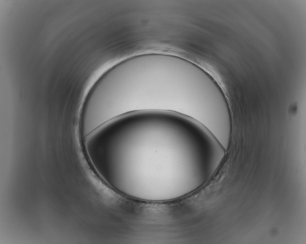 X0000091461136200708161102