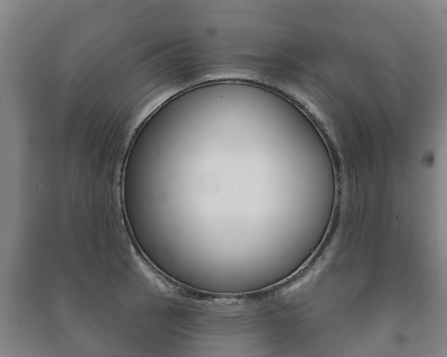X0000091461137200708161102