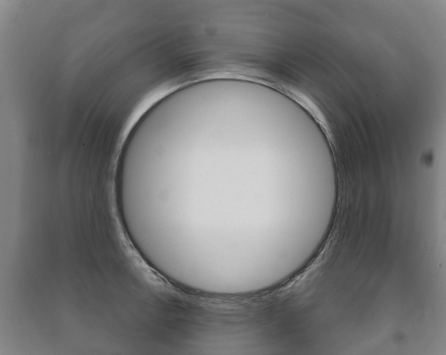 X0000091461138200708161102