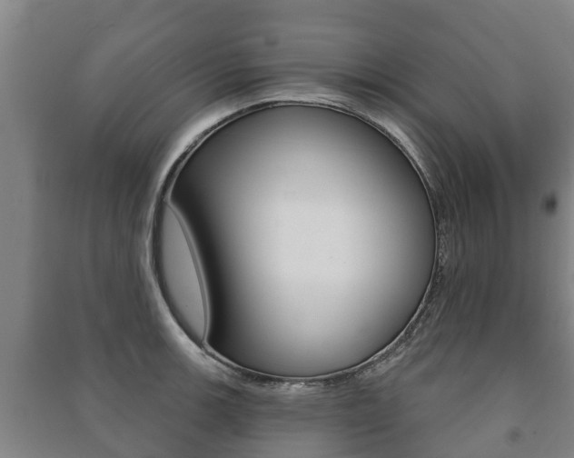 X0000091461139200708161102