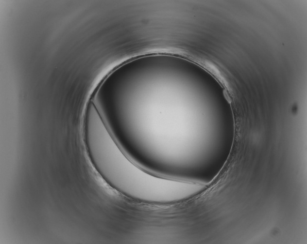 X0000091461140200708161102