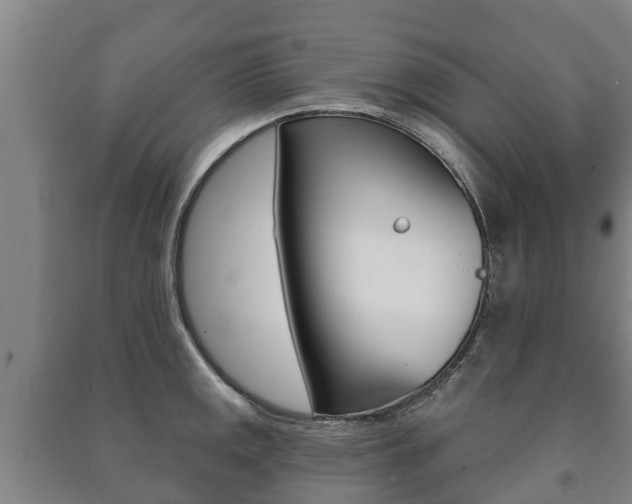 X0000091461141200708161102
