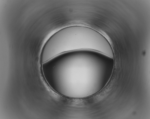 X0000091461144200708161102