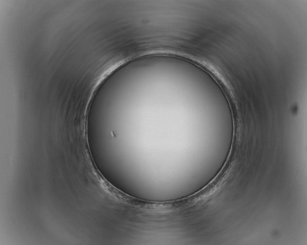 X0000091461145200708161102