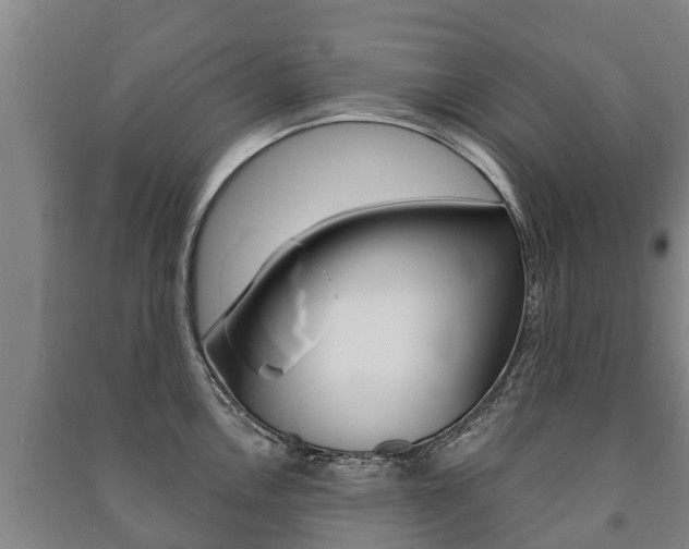 X0000091461146200708161102