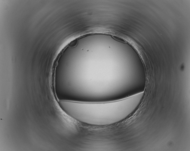 X0000091461147200708161102