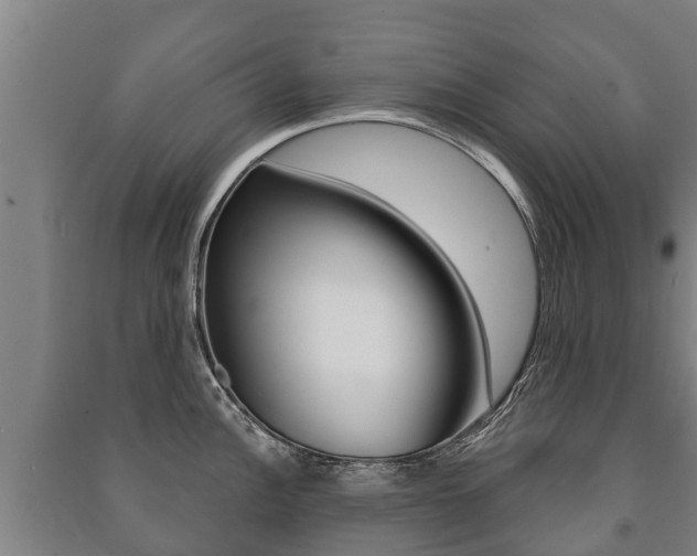 X0000091461148200708161102