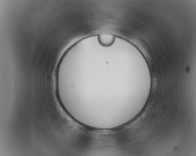 X0000091461150200708161102
