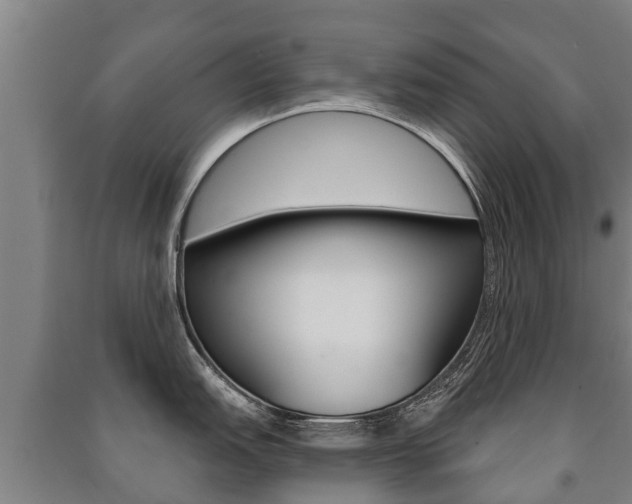 X0000091461151200708161102