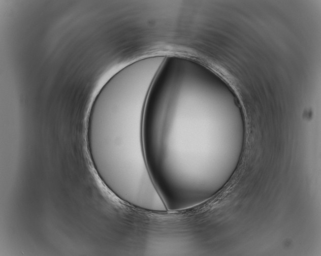 X0000091461152200708161102