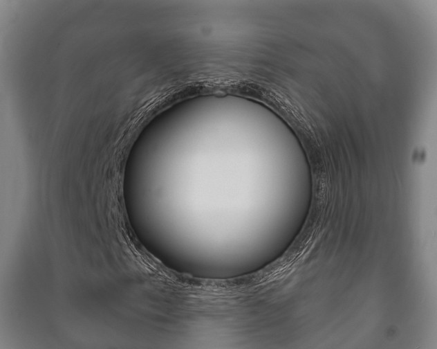 X0000091461153200708161101