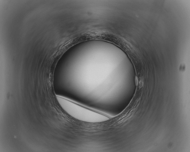 X0000091461156200708161101