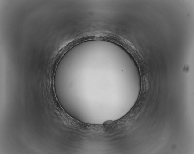 X0000091461158200708161101