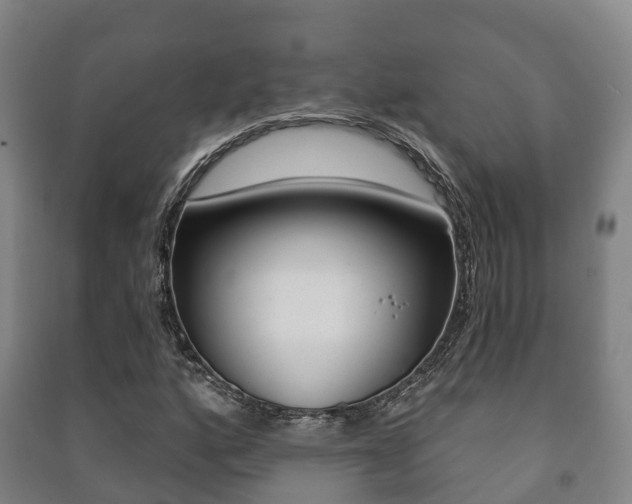 X0000091461160200708161101