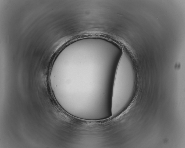 X0000091461162200708161101