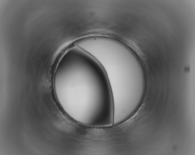 X0000091461164200708161101