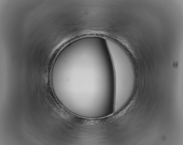 X0000091461165200708161101