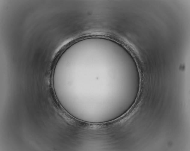 X0000091461166200708161101