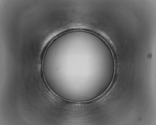 X0000091461167200708161101