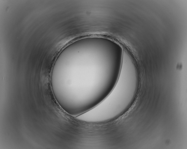 X0000091461169200708161101