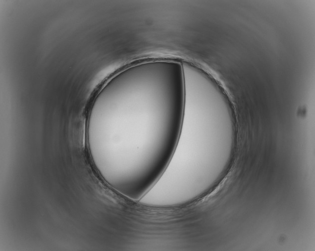 X0000091461171200708161101