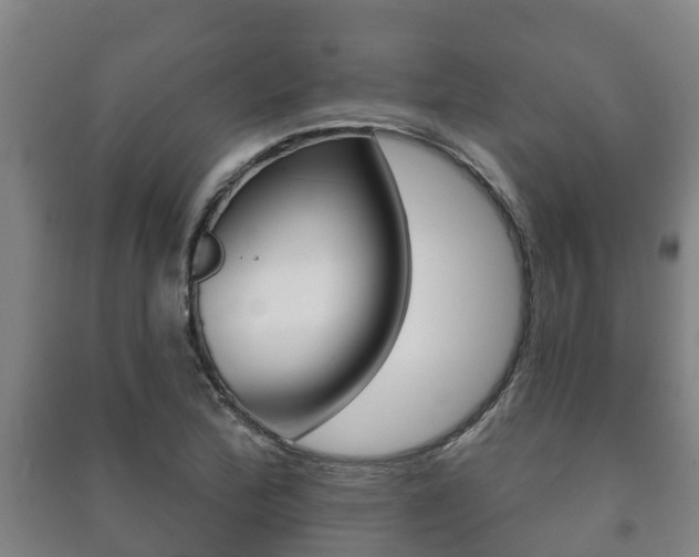 X0000091461172200708161101
