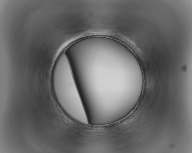 X0000091461174200708161101