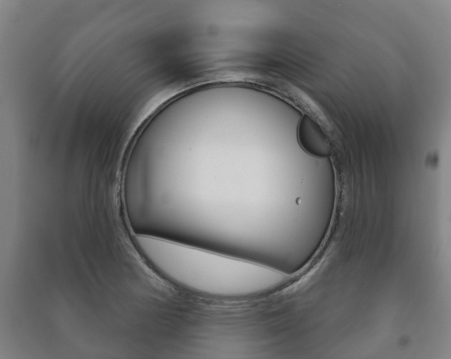 X0000091461178200708161101