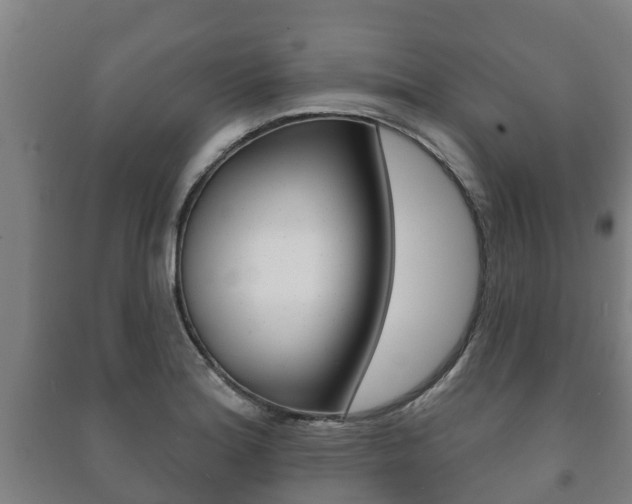 X0000091461180200708161101