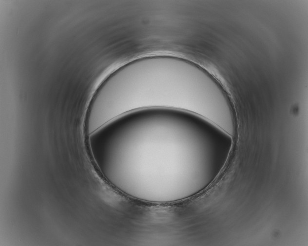 X0000091461181200708161101